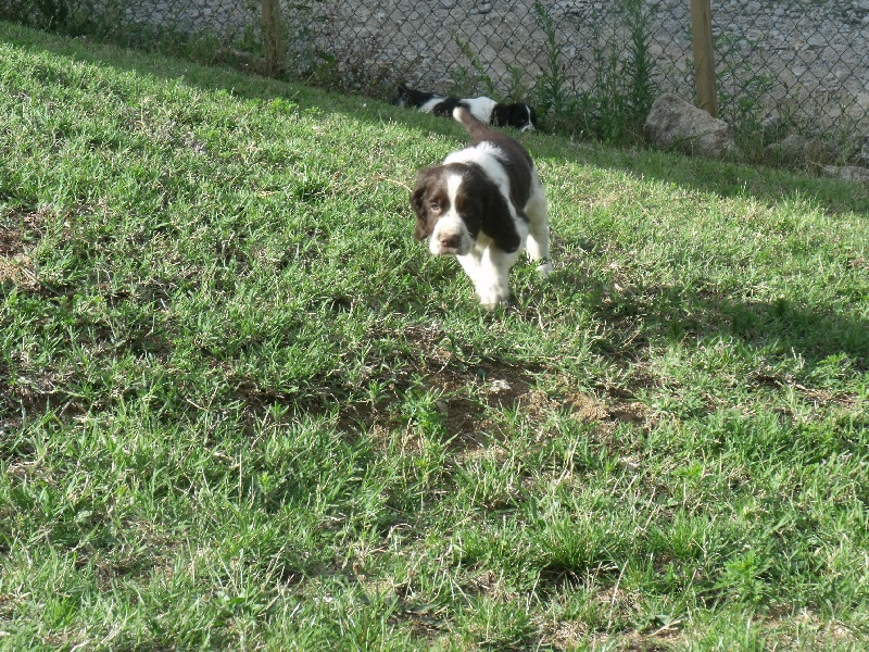 Floppy in Shade of Pure