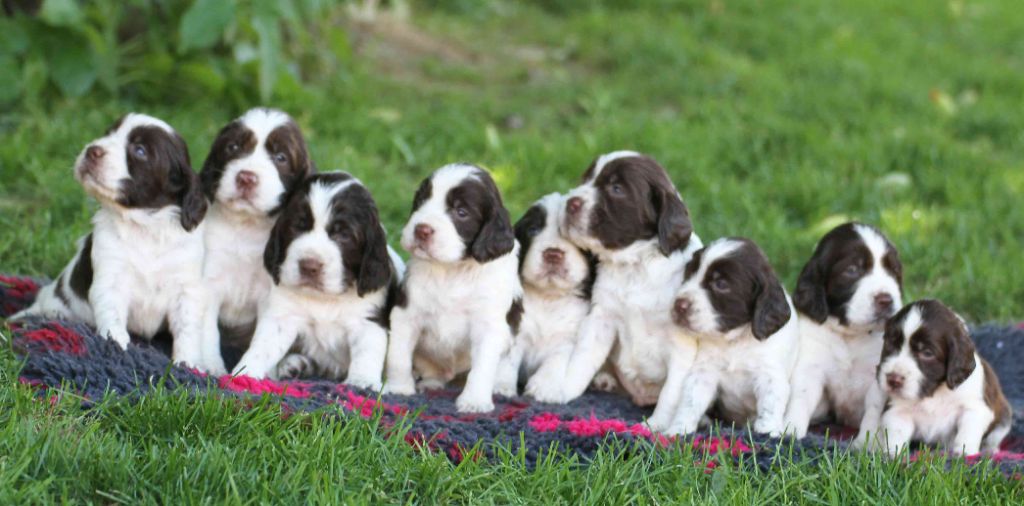 in Shade of Pure - Des bébés en vue pour Avril